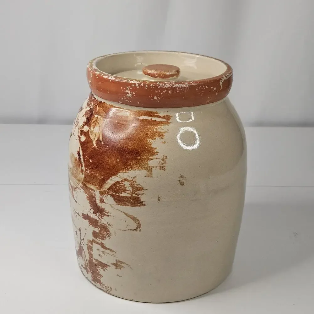 Vintage Glazed Pottery Abstract Fruit Print Cookie Jar Retro Kitchen Storage